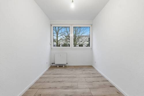 Alexander Immobilien - 