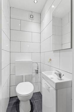 Alexander Immobilien - 