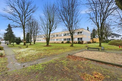 Alexander Immobilien - 