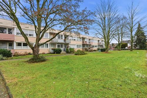 Alexander Immobilien.jpg - 