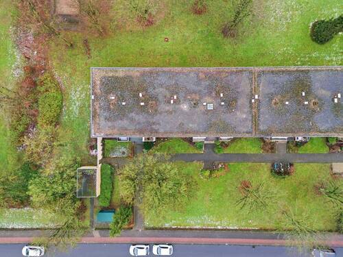 Alexander Immobilien - 