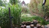 Bild 10 - 