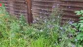Bild 15 - 