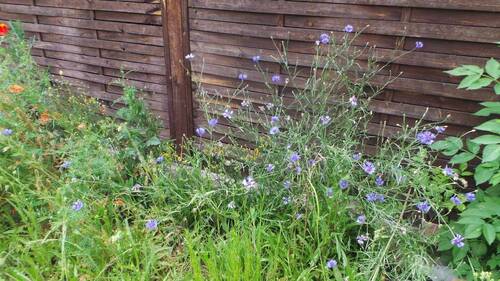 Bild 15 - 