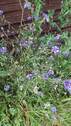 Bild 17 - 