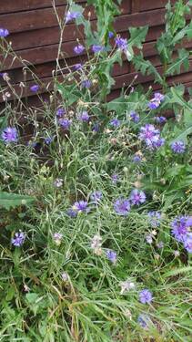 Bild 17 - 