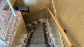EG-Treppe zum Keller - 