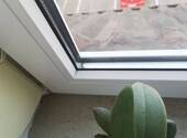 Detail: Kunststofffenster - 