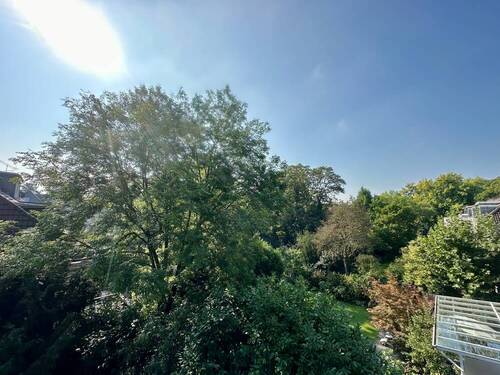 Ausblick Dachterrasse - 