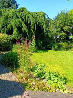 Sommereindruck - 