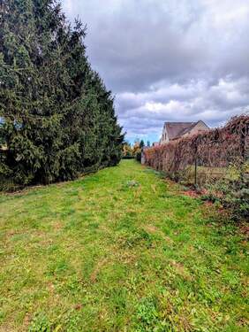 Einfahrt zum Garten - 