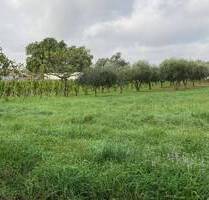 Attraktives Baugrundstück - Mit erteilte Baugenehmigung und vorliegender Entwurfsplanung in traumhafter Lage von Istrien - Jursici