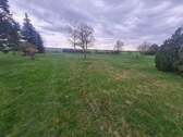 Bild - 