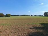 Ausblick - 