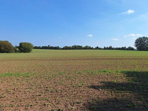 Ausblick - 
