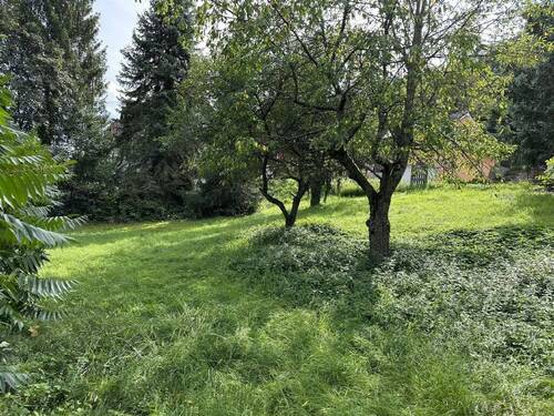 Bild4 - Grundstück in Idar-Oberstein zum Kaufen