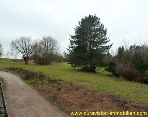 Ausblick.JPG - Reihenendhaus mit 213,00 m&sup2; in Kiedrich zur Miete