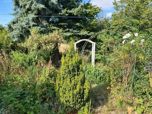 Garten - Der Frühling kommt. Das neue Heim ist schon da!