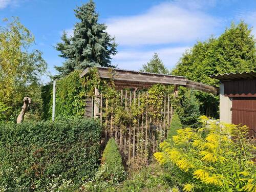 Garten - 5 Zimmer Einfamilienhaus zum Kaufen in Gorden-Staupitz