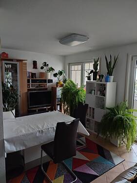 Wohn-/Esszimmer - 