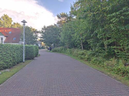 Randlage - 
