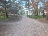 Weg zum Strand durch Küstenwald - 