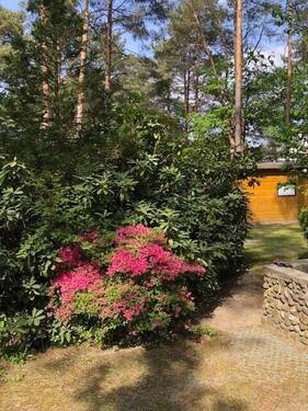 IMG_4457 - Grundstück in Mittenwalde zum Kaufen