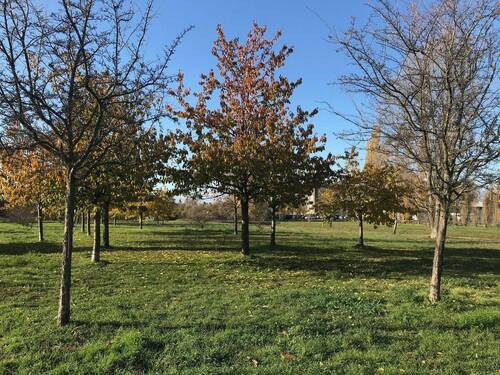 200 m entfernt - Grundstück in Berlin zum Kaufen