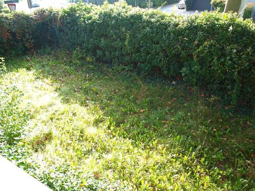 Teilansicht Garten - 