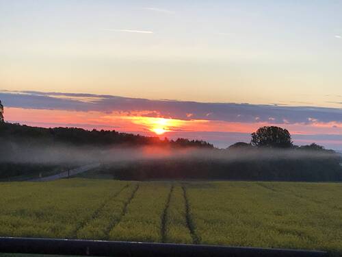 Sonnenuntergang - 4 Zimmer Einfamilienhaus in Waldalgesheim