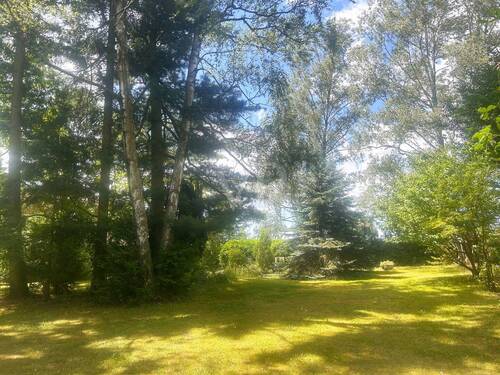 Parkähnlicher Garten - 