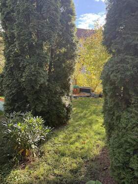 Garten - 