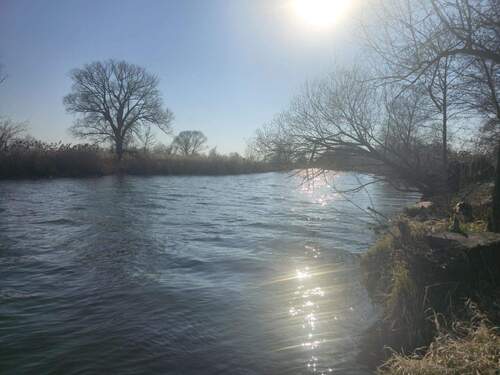 Blick auf die Spree - 8 Zimmer Einfamilienhaus zum Kaufen in Unterspreewald