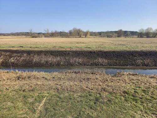 Blick vom Grundstück - Einfamilienhaus mit 252,80 m&sup2; in Unterspreewald zum Kaufen