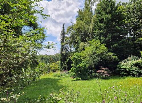 Grundstück Blick Süd-/Südwest - Großes Grundstück mit Bauplatz - naturnahe und unverbaubare Lage