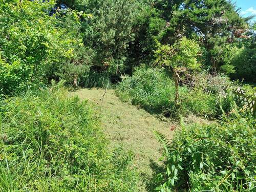 Beflanzung an Viehweideweg - 