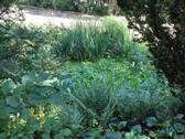 Naturteich - 