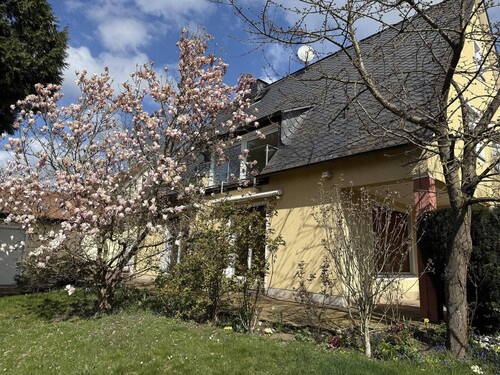 Blick auf Wohn-/EssZ. Terrasse - Villenlage Bad Homburg - Haus mit Charme