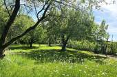 Blick auf Obstwiese und Nutzgarten - 