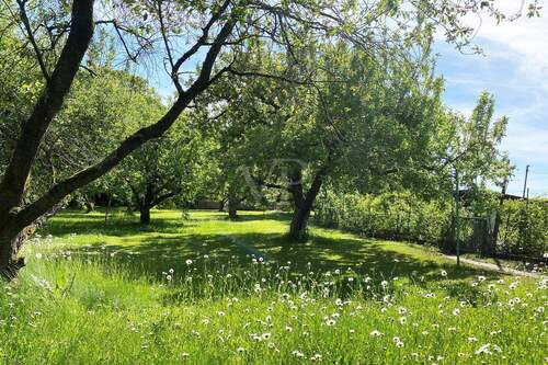 Blick auf Obstwiese und Nutzgarten - 