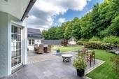 Blick in den Garten - 