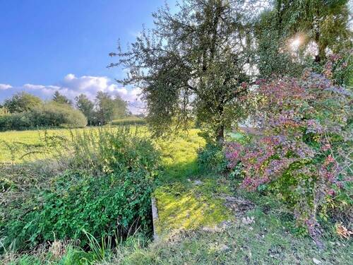 Grundstück - Grundstück in Messenkamp zum Kaufen