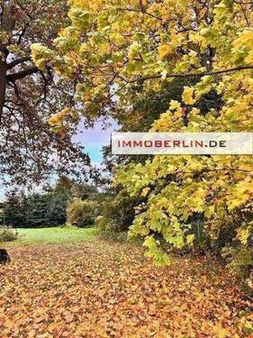 5.jpg - Grundstück in Schulzendorf zum Kaufen