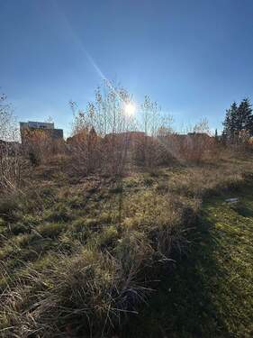 Bild 2 - Grundstück in Wunstorf