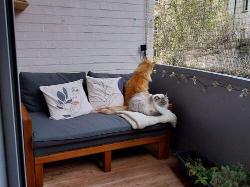 20251121_110337.jpg - 