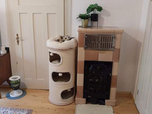 20251121_110157.jpg - 