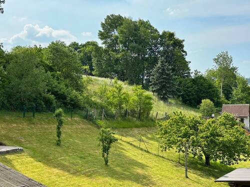 Ausblick vom Balkon - 