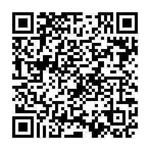 QR-Code - 