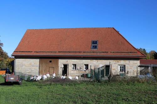 Scheune und Putenstall - 