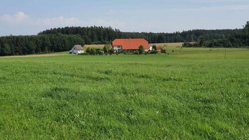 Traumhafte Alleinlage - 20 MinutenBodensee - Landhaus Höchstes Niveau - Alleinlage - Platzwunder